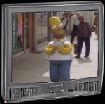 pic of 3-D Homer